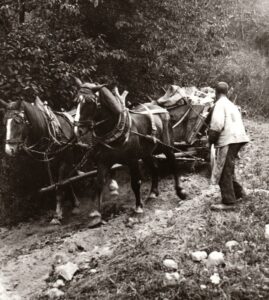 Steinebrechen und -transport um 1925