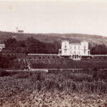 Auf dem Panoramafoto sehen Sie das gesamte Areal „Am Goldenen Fuß“ mit Villa, Gärtnerhaus, Palmenhaus und Berschlößchen, das damals als Teehaus diente (um 1890)